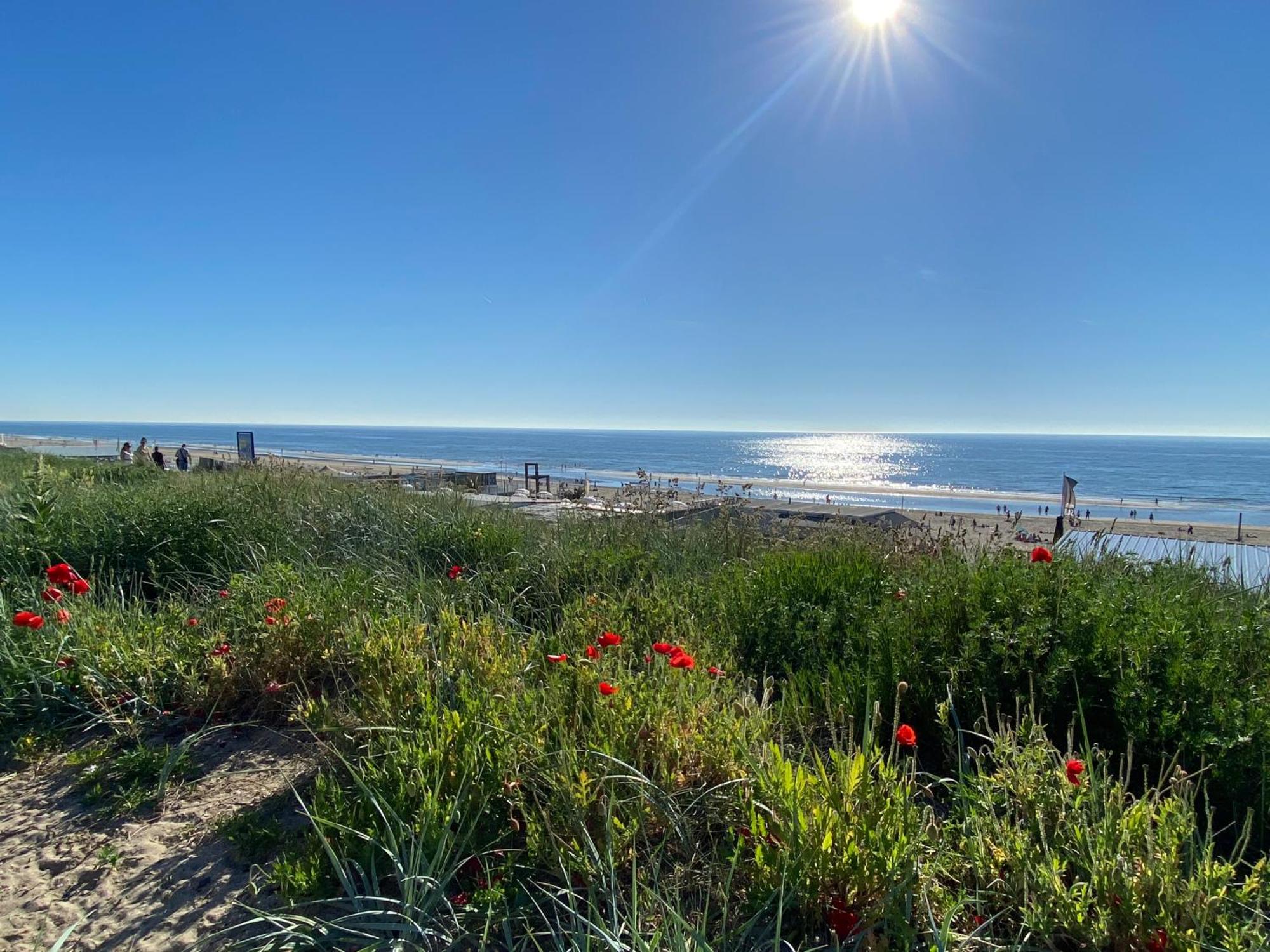 Maison Rue De La Mer Zandvoort Kültér fotó
