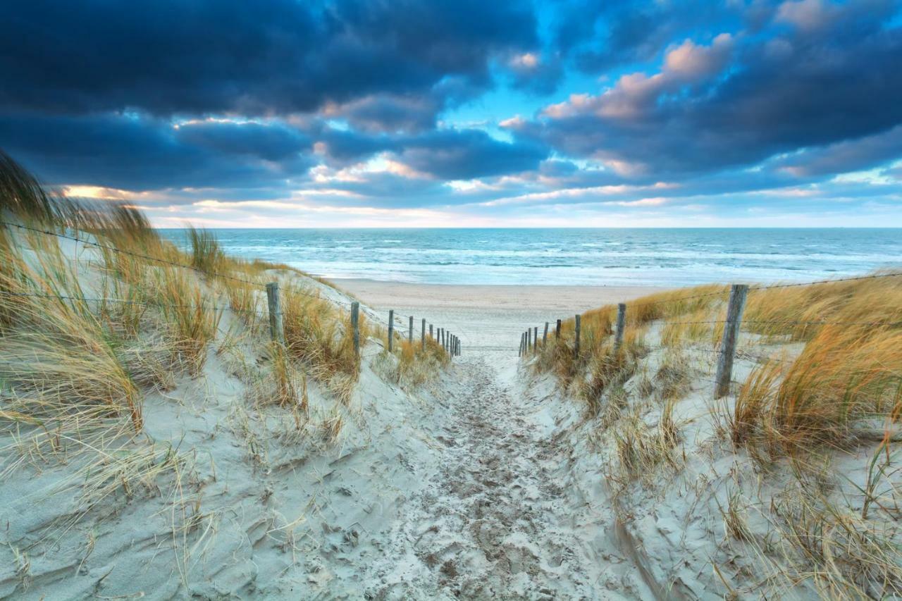 Maison Rue De La Mer Zandvoort Kültér fotó